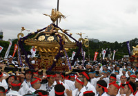 東京都神社庁連合神輿渡御